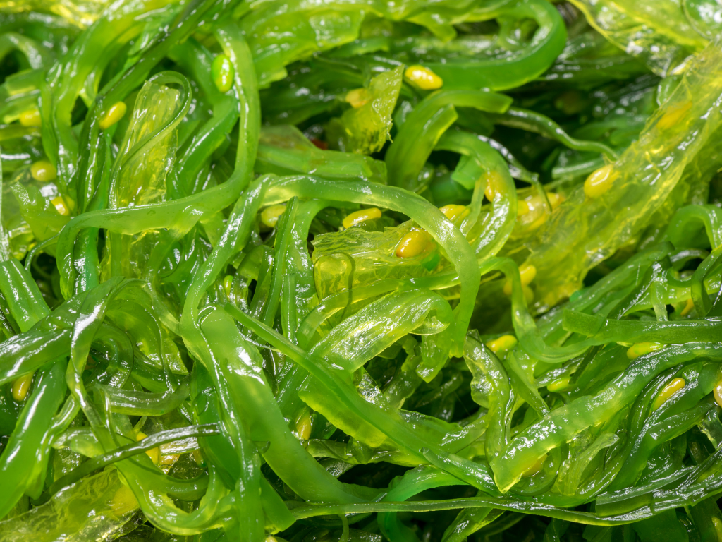 Why seasoned seaweed tastes so savoury